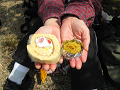IMG_2323_thumb.png