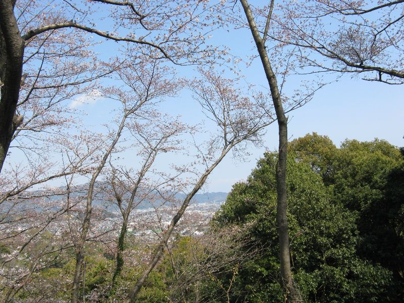 IMG_2630.JPG