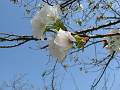 IMG_2654_thumb.png