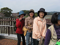 IMG_1885_thumb.png