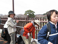 IMG_1897_thumb.png
