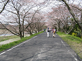 IMG_1945_thumb.png