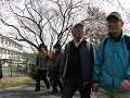 IMG_1981_thumb.png