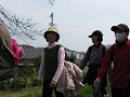 IMG_2016_thumb.png