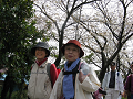 IMG_2066_thumb.png