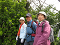 IMG_2089_thumb.png