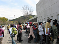 IMG_2146_thumb.png