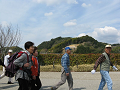 IMG_2151_thumb.png