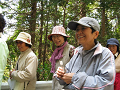 IMG_2231_thumb.png