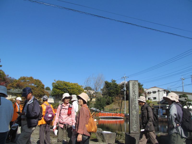 20161113_115552.JPG