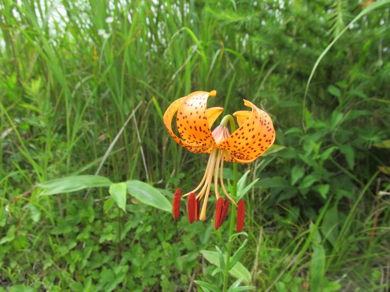 20160724_092710.JPG