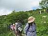 20160724_103127.JPG