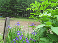 20190721_110217_thumb.png