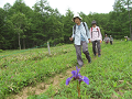 20190721_110537_thumb.png