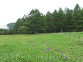 20190721_110657_thumb.png