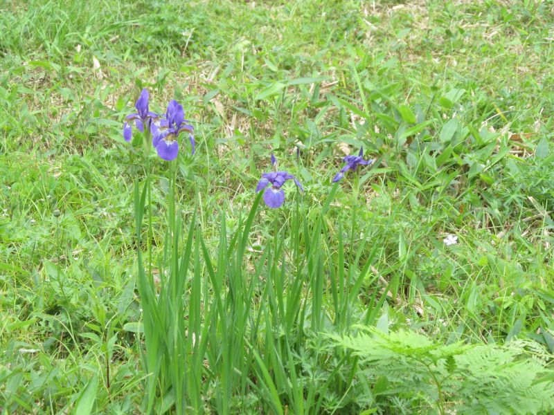 20190721_111138.JPG
