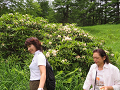 20190721_120739_thumb.png