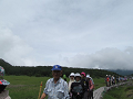 20190721_132050_thumb.png