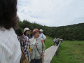 20190721_132904_thumb.png