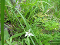20190721_140414_thumb.png