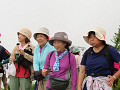 20190721_141252_thumb.png