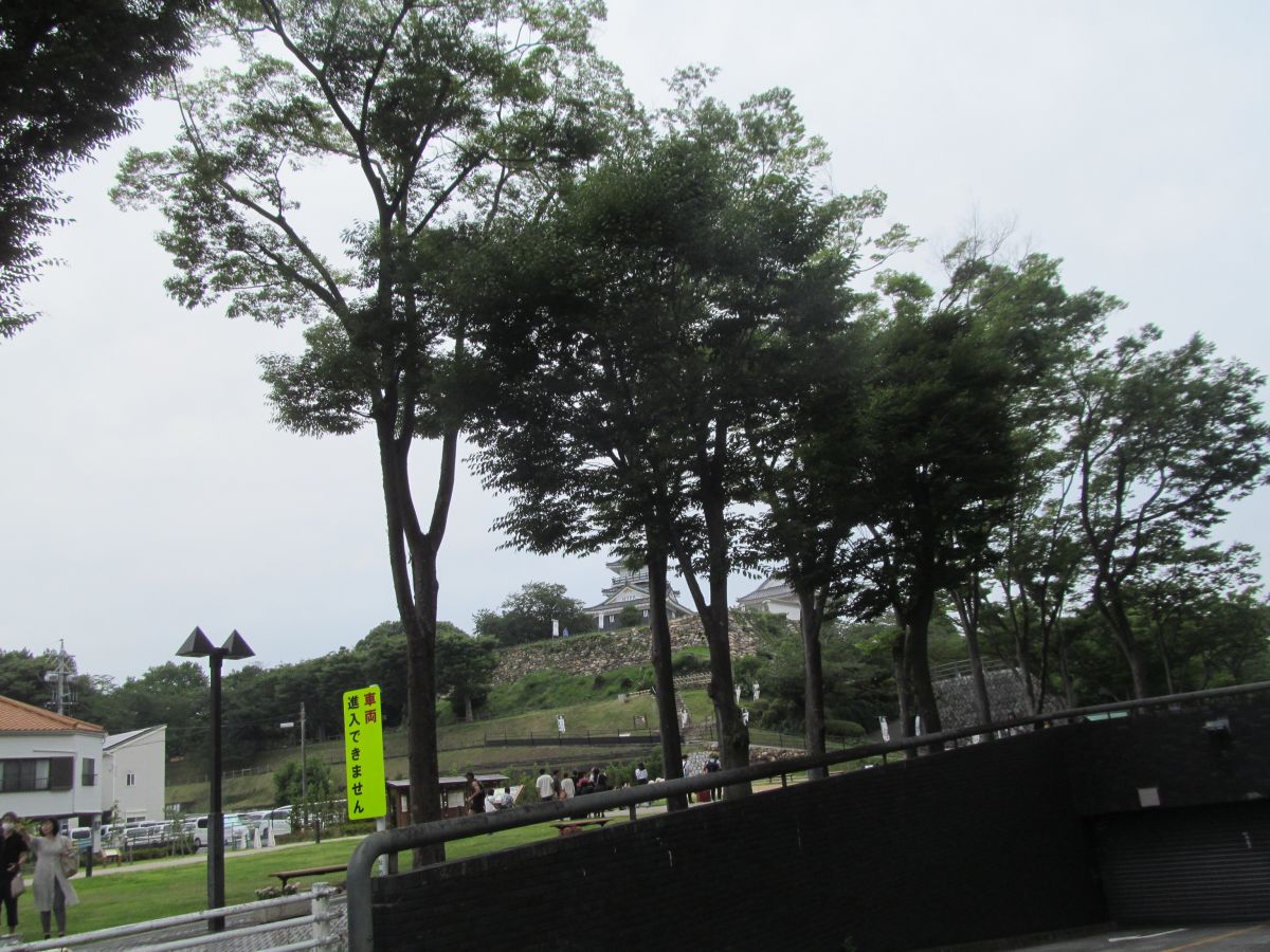 20230618_115918.JPG