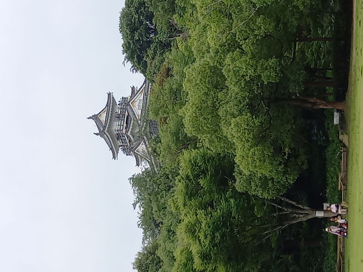 20230618_123817.jpg