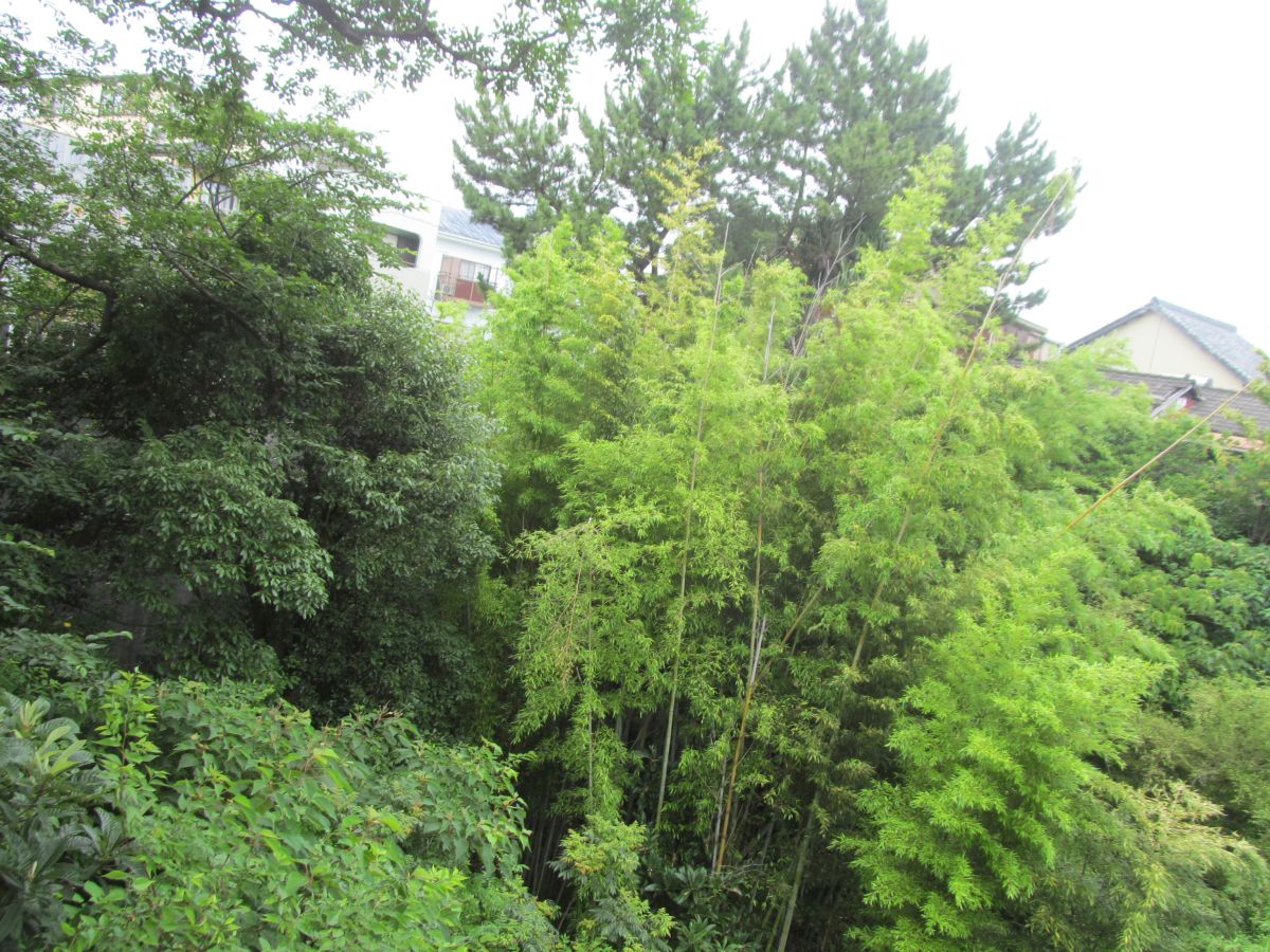 20230618_140909.JPG