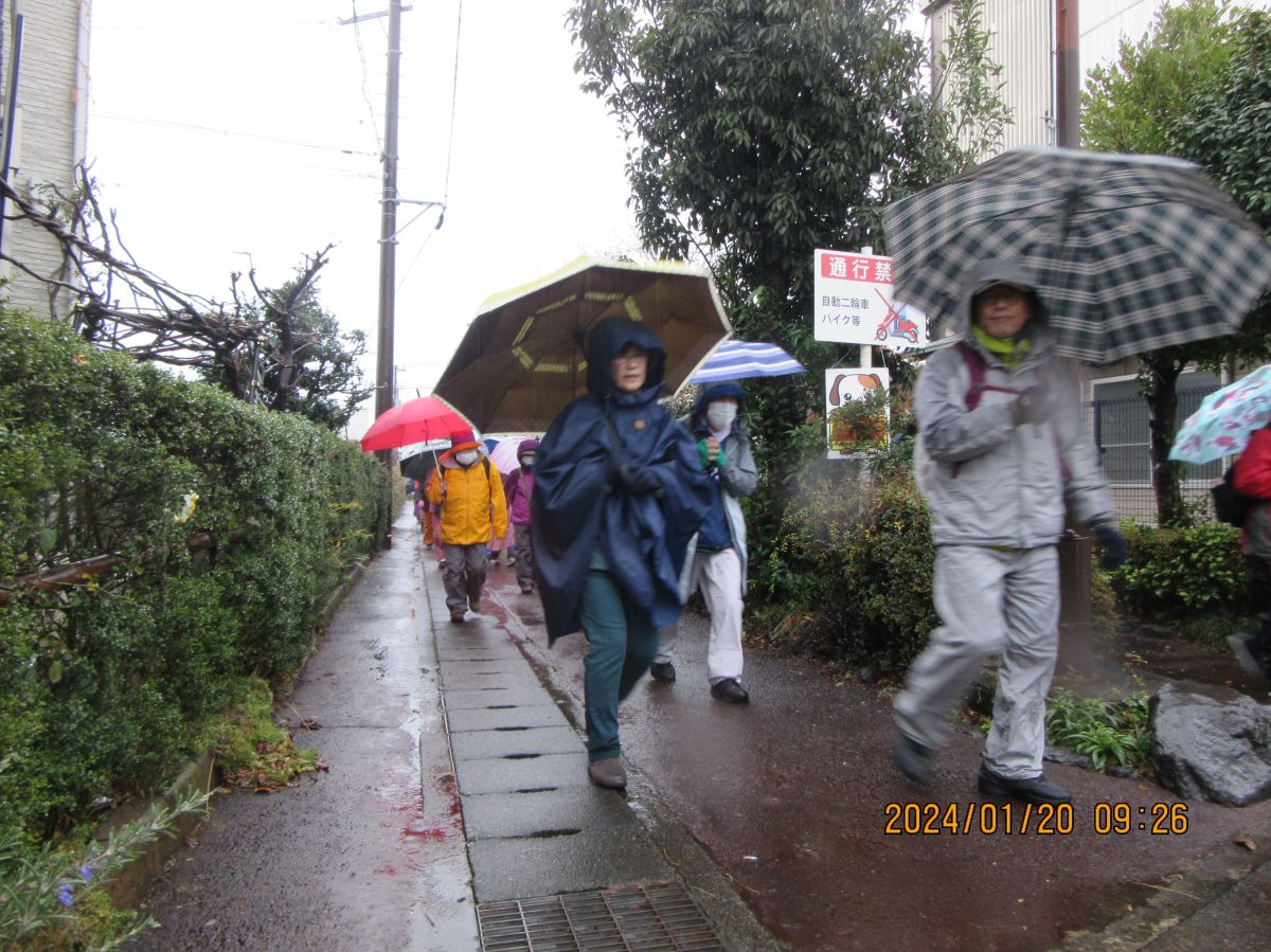 20240120_092611.JPG