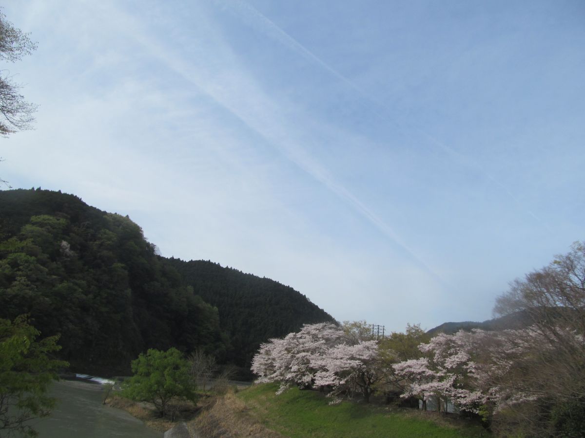 20240407_083519.JPG
