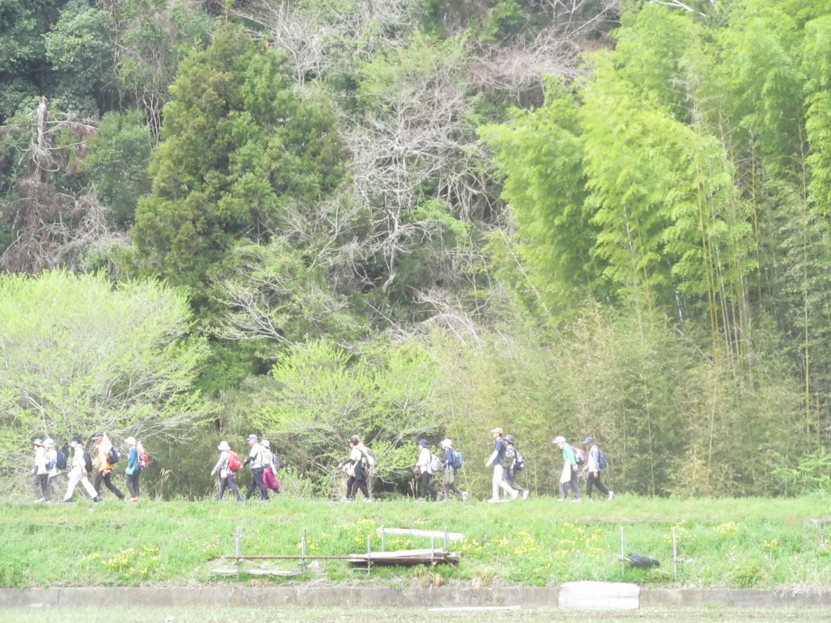 20240407_103148.JPG