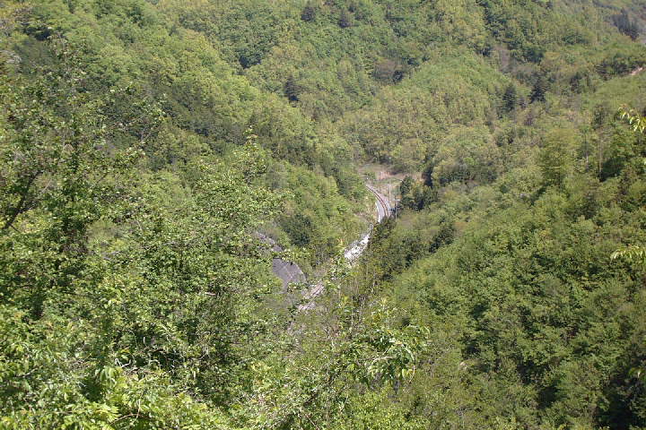 EPSN0078.JPG