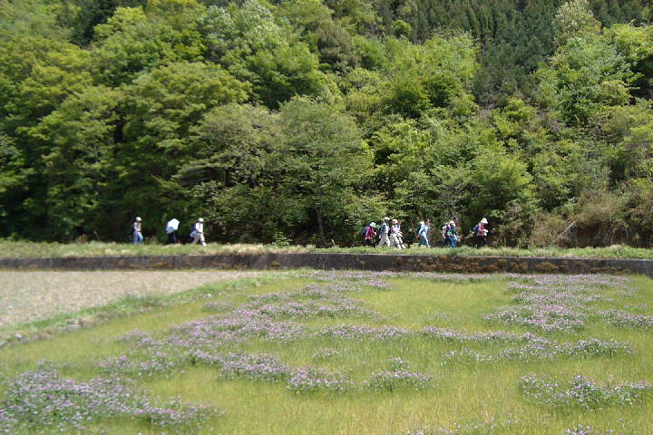 EPSN0116.JPG