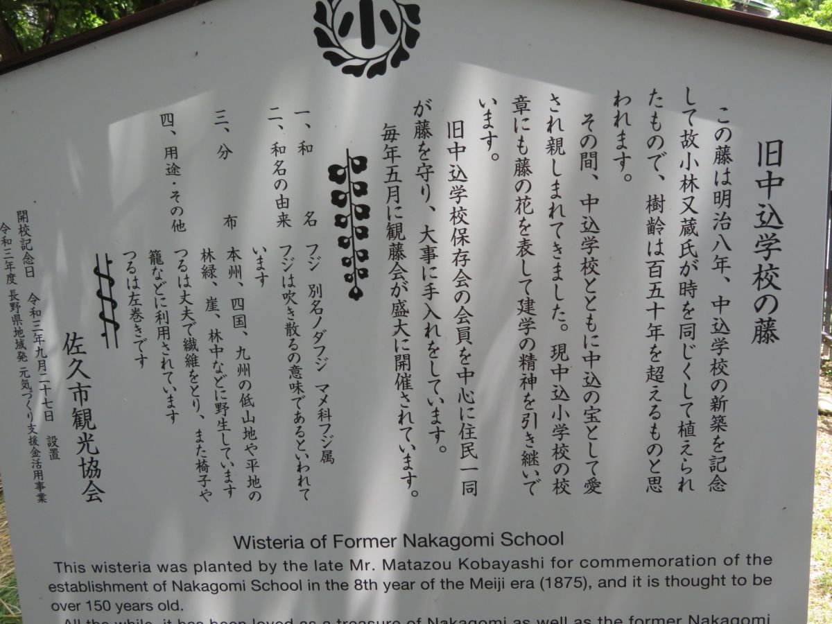 20230521_114455.JPG