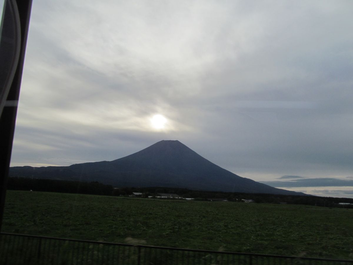 20230924_065636.JPG