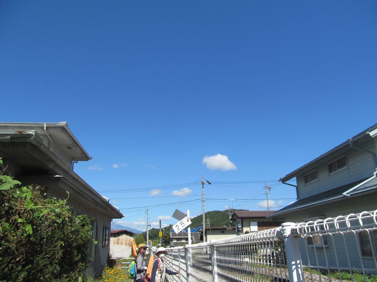 20230924_115637.JPG