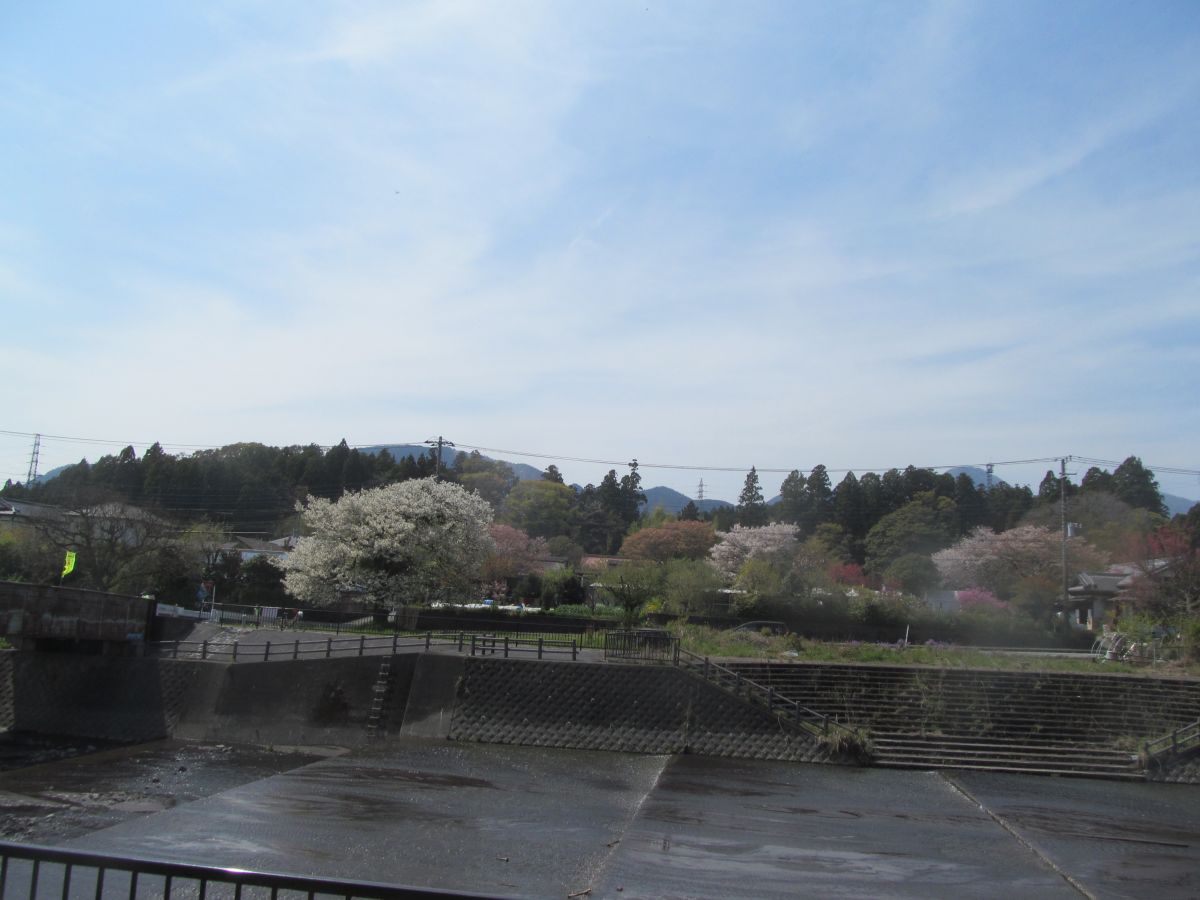 20240413_131110.JPG