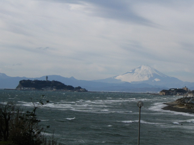IMG_5421.JPG