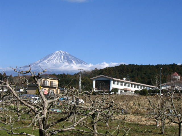 IMG_5478.JPG