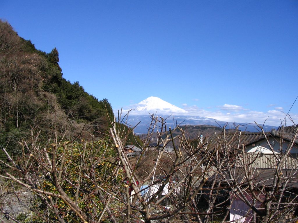 IMG_5493.JPG