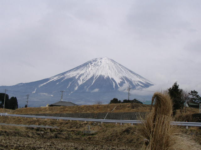 IMG_6792.JPG
