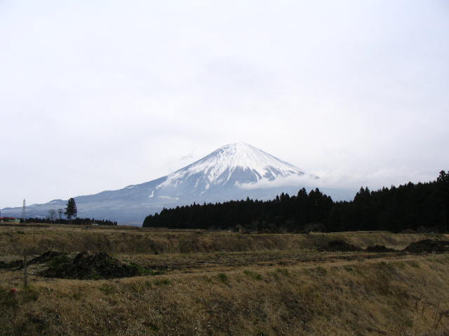 IMG_6799.JPG