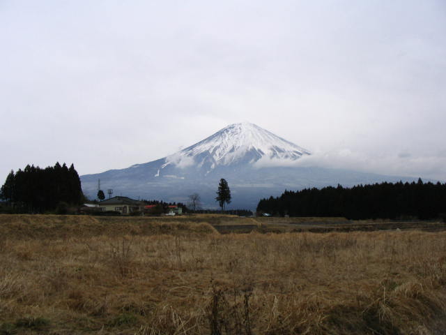 IMG_6810.JPG