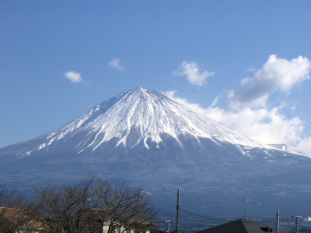 IMG_7043.JPG