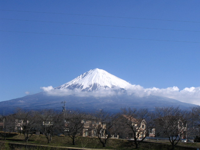 IMG_7774.JPG