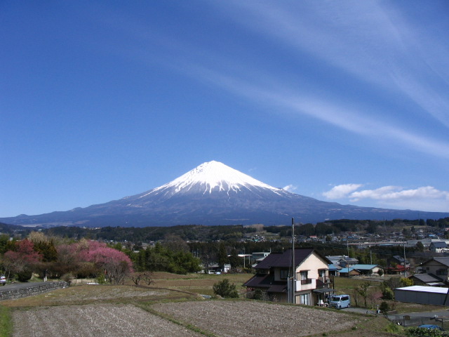 IMG_7923.JPG