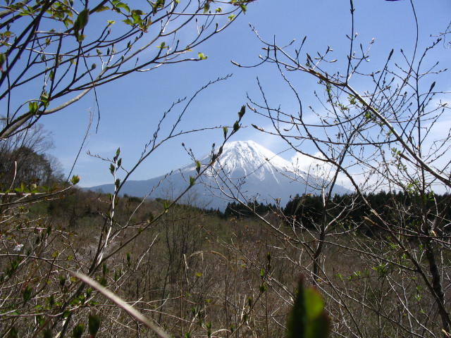 IMG_2069.JPG