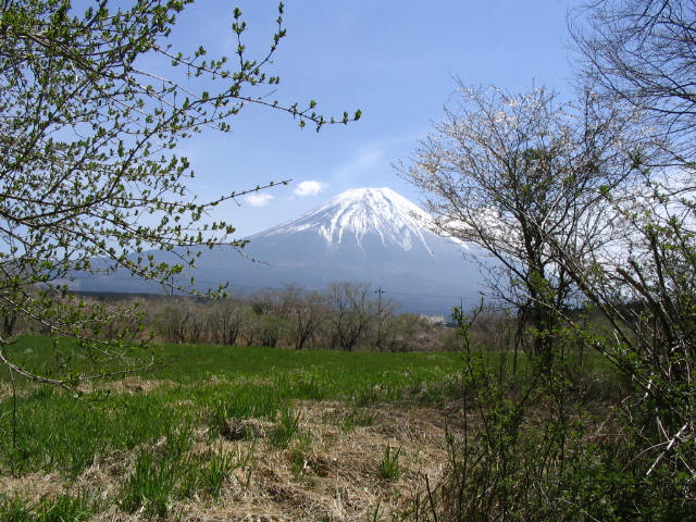 IMG_2092.JPG