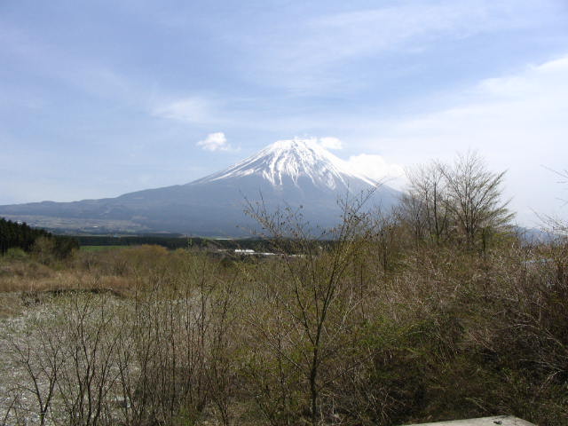 IMG_2133.JPG