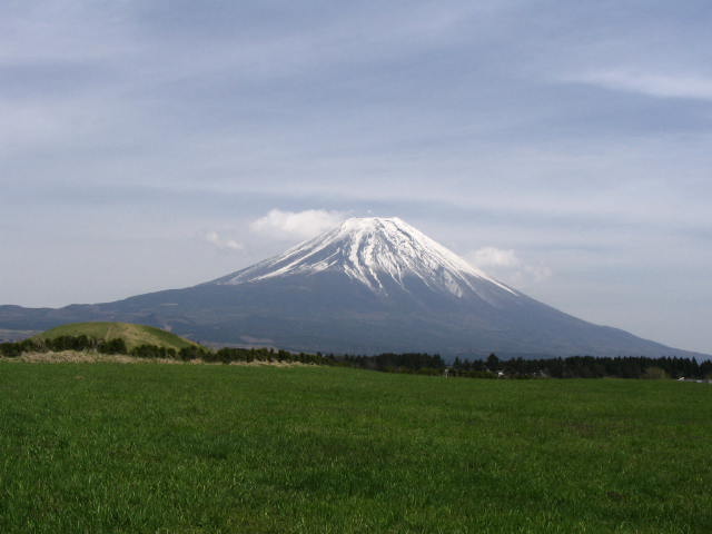 IMG_2237.JPG